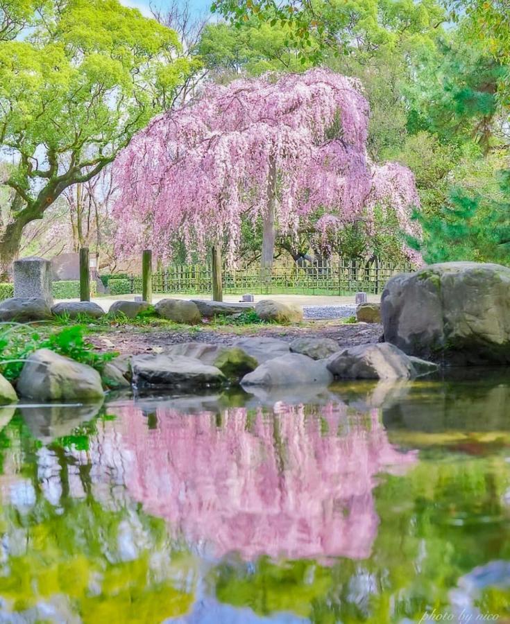 فيلا Tsurui Goshonishi 鶴居御所西 كيوتو المظهر الخارجي الصورة